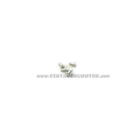 Jeu de 5 rivets a mater 2x4mm pour plaque des mines 